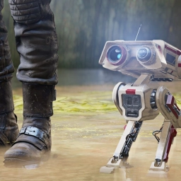 BH-06